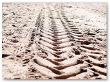 Tyre tracks in sand